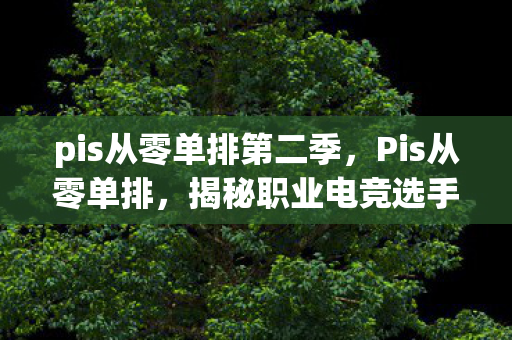 pis从零单排第二季,Pis从零单排,揭秘职业电竞选手的起步之路 pis从零单排第二季,Pis从零单排,揭秘职业电竞选手的起步之路