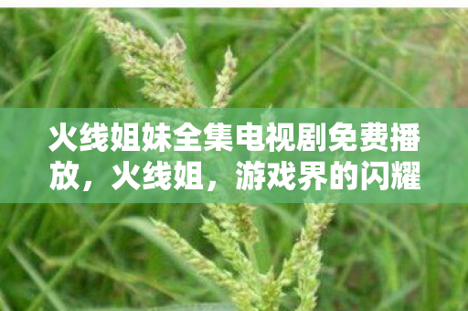 火线姐妹全集电视剧免费播放,火线姐,游戏界的闪耀明星 火线姐妹全集电视剧免费播放,火线姐,游戏界的闪耀明星