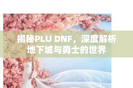 揭秘PLU DNF,深度解析地下城与勇士的世界 揭秘PLU DNF,深度解析地下城与勇士的世界