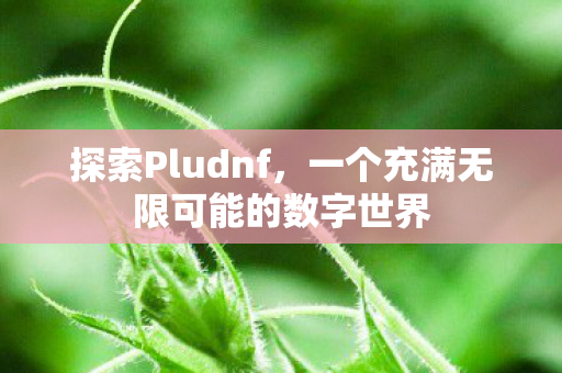 探索Pludnf,一个充满无限可能的数字世界 探索Pludnf,一个充满无限可能的数字世界