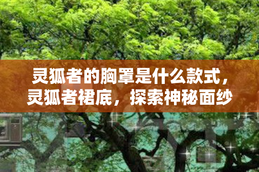 灵狐者的胸罩是什么款式,灵狐者裙底,探索神秘面纱背后的故事 灵狐者的胸罩是什么款式,灵狐者裙底,探索神秘面纱背后的故事