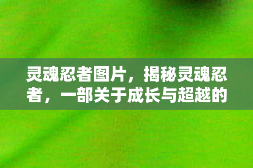 灵魂忍者图片,揭秘灵魂忍者,一部关于成长与超越的传奇故事 灵魂忍者图片,揭秘灵魂忍者,一部关于成长与超越的传奇故事