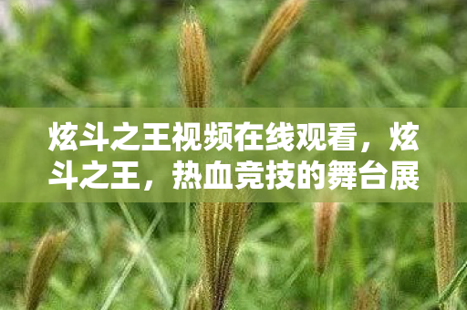 炫斗之王视频在线观看，炫斗之王，热血竞技的舞台展现