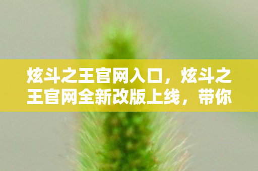 炫斗之王官网入口,炫斗之王官网全新改版上线,带你领略不一样的格斗世界! 炫斗之王官网入口,炫斗之王官网全新改版上线,带你领略不一样的格斗世界!