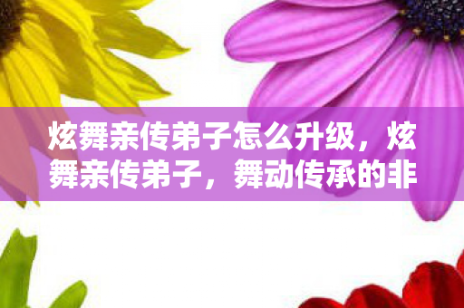 炫舞亲传弟子怎么升级,炫舞亲传弟子,舞动传承的非凡旅程 炫舞亲传弟子怎么升级,炫舞亲传弟子,舞动传承的非凡旅程