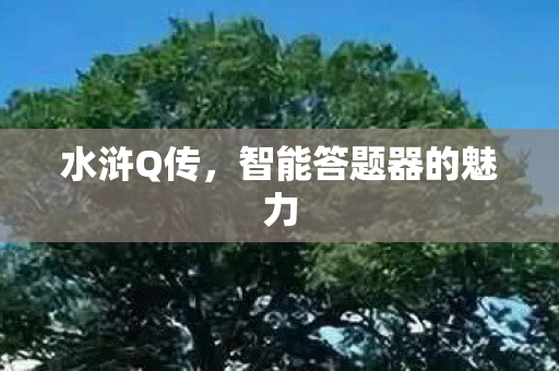 水浒Q传,智能答题器的魅力 水浒Q传,智能答题器的魅力