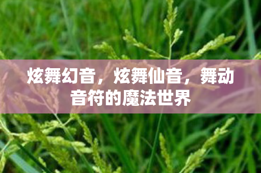 炫舞幻音,炫舞仙音,舞动音符的魔法世界 炫舞幻音,炫舞仙音,舞动音符的魔法世界