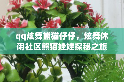 qq炫舞熊猫仔仔,炫舞休闲社区熊猫娃娃探秘之旅 qq炫舞熊猫仔仔,炫舞休闲社区熊猫娃娃探秘之旅