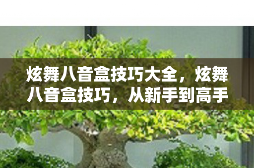 炫舞八音盒技巧大全,炫舞八音盒技巧,从新手到高手的进阶之路 炫舞八音盒技巧大全,炫舞八音盒技巧,从新手到高手的进阶之路