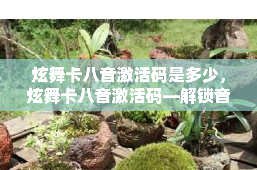 炫舞卡八音激活码是多少，炫舞卡八音激活码—解锁音乐狂欢的独家秘籍