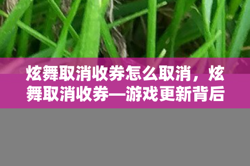 炫舞取消收券怎么取消,炫舞取消收券—游戏更新背后的真相与影响 炫舞取消收券怎么取消,炫舞取消收券—游戏更新背后的真相与影响