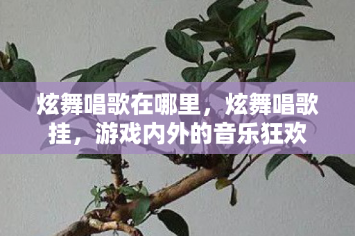 炫舞唱歌在哪里,炫舞唱歌挂,游戏内外的音乐狂欢 炫舞唱歌在哪里,炫舞唱歌挂,游戏内外的音乐狂欢