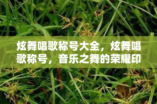 炫舞唱歌称号大全,炫舞唱歌称号,音乐之舞的荣耀印记 炫舞唱歌称号大全,炫舞唱歌称号,音乐之舞的荣耀印记