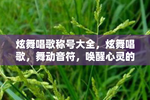 炫舞唱歌称号大全,炫舞唱歌,舞动音符,唤醒心灵的艺术之旅 炫舞唱歌称号大全,炫舞唱歌,舞动音符,唤醒心灵的艺术之旅
