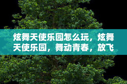 炫舞天使乐园怎么玩,炫舞天使乐园,舞动青春,放飞梦想 炫舞天使乐园怎么玩,炫舞天使乐园,舞动青春,放飞梦想