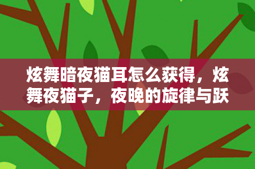 炫舞暗夜猫耳怎么获得,炫舞夜猫子,夜晚的旋律与跃动的热情 炫舞暗夜猫耳怎么获得,炫舞夜猫子,夜晚的旋律与跃动的热情