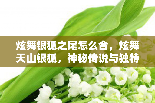 炫舞银狐之尾怎么合,炫舞天山银狐,神秘传说与独特魅力的交织 炫舞银狐之尾怎么合,炫舞天山银狐,神秘传说与独特魅力的交织