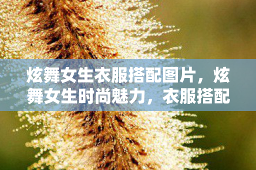 炫舞女生衣服搭配图片,炫舞女生时尚魅力,衣服搭配的艺术 炫舞女生衣服搭配图片,炫舞女生时尚魅力,衣服搭配的艺术