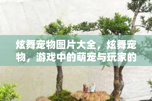 炫舞宠物图片大全,炫舞宠物,游戏中的萌宠与玩家的独特互动体验 炫舞宠物图片大全,炫舞宠物,游戏中的萌宠与玩家的独特互动体验