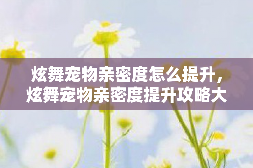 炫舞宠物亲密度怎么提升,炫舞宠物亲密度提升攻略大揭秘 炫舞宠物亲密度怎么提升,炫舞宠物亲密度提升攻略大揭秘