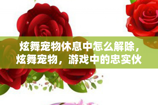 炫舞宠物休息中怎么解除,炫舞宠物,游戏中的忠实伙伴与战力加成 炫舞宠物休息中怎么解除,炫舞宠物,游戏中的忠实伙伴与战力加成