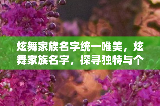 炫舞家族名字统一唯美，炫舞家族名字，探寻独特与个性的舞蹈世界