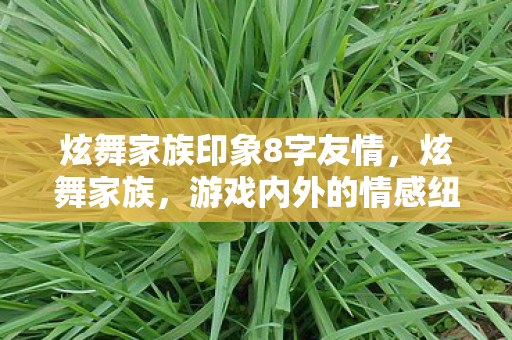 炫舞家族印象8字友情，炫舞家族，游戏内外的情感纽带