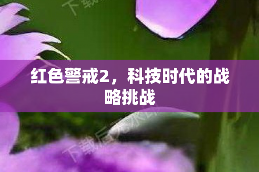 红色警戒2，科技时代的战略挑战
