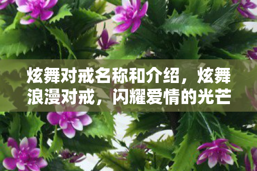 炫舞对戒名称和介绍，炫舞浪漫对戒，闪耀爱情的光芒