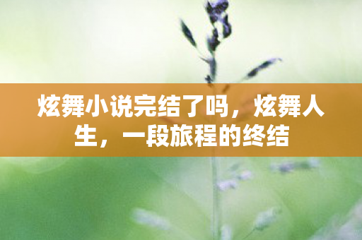 炫舞小说完结了吗,炫舞人生,一段旅程的终结 炫舞小说完结了吗,炫舞人生,一段旅程的终结