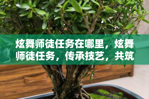 炫舞师徒任务在哪里,炫舞师徒任务,传承技艺,共筑梦想 炫舞师徒任务在哪里,炫舞师徒任务,传承技艺,共筑梦想