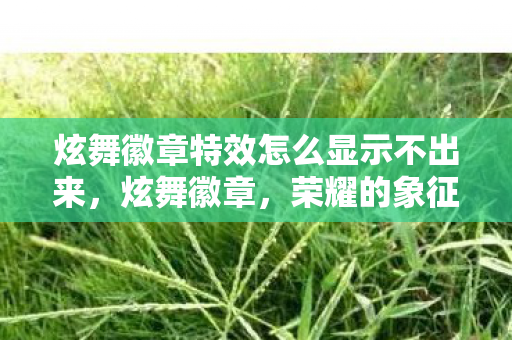 炫舞徽章特效怎么显示不出来,炫舞徽章,荣耀的象征,舞者的骄傲 炫舞徽章特效怎么显示不出来,炫舞徽章,荣耀的象征,舞者的骄傲