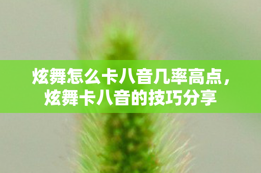 炫舞怎么卡八音几率高点,炫舞卡八音的技巧分享 炫舞怎么卡八音几率高点,炫舞卡八音的技巧分享