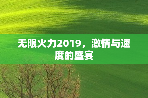 无限火力2019,激情与速度的盛宴 无限火力2019,激情与速度的盛宴