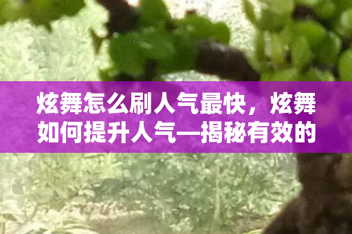 炫舞怎么刷人气最快,炫舞如何提升人气—揭秘有效的刷人气策略 炫舞怎么刷人气最快,炫舞如何提升人气—揭秘有效的刷人气策略