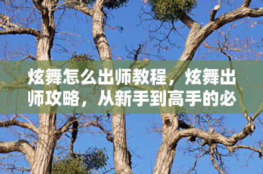 炫舞怎么出师教程,炫舞出师攻略,从新手到高手的必经之路 炫舞怎么出师教程,炫舞出师攻略,从新手到高手的必经之路
