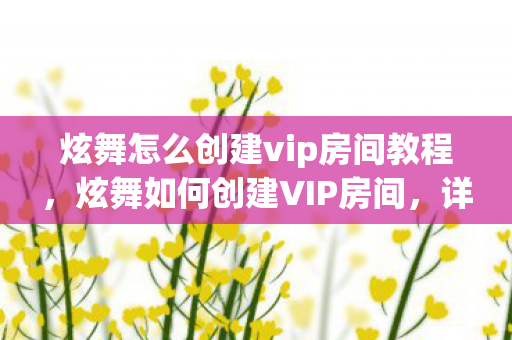 炫舞怎么创建vip房间教程,炫舞如何创建VIP房间,详细步骤与特权解析 炫舞怎么创建vip房间教程,炫舞如何创建VIP房间,详细步骤与特权解析