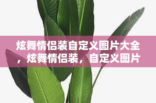 炫舞情侣装自定义图片大全,炫舞情侣装,自定义图片展现浪漫魅力 炫舞情侣装自定义图片大全,炫舞情侣装,自定义图片展现浪漫魅力