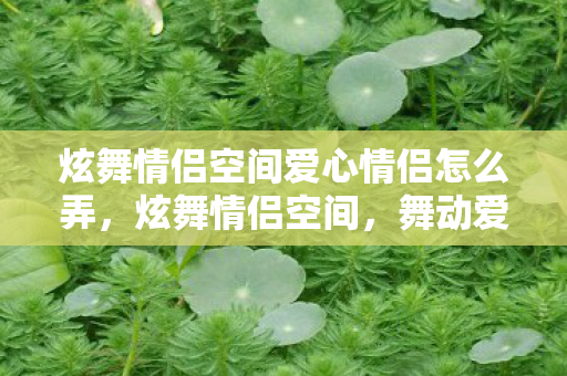 炫舞情侣空间爱心情侣怎么弄,炫舞情侣空间,舞动爱情,共谱甜蜜乐章 炫舞情侣空间爱心情侣怎么弄,炫舞情侣空间,舞动爱情,共谱甜蜜乐章