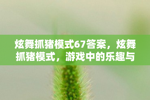 炫舞抓猪模式67答案,炫舞抓猪模式,游戏中的乐趣与挑战 炫舞抓猪模式67答案,炫舞抓猪模式,游戏中的乐趣与挑战