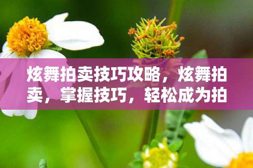 炫舞拍卖技巧攻略,炫舞拍卖,掌握技巧,轻松成为拍卖达人 炫舞拍卖技巧攻略,炫舞拍卖,掌握技巧,轻松成为拍卖达人