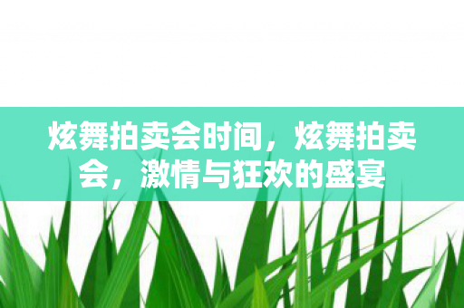 炫舞拍卖会时间,炫舞拍卖会,激情与狂欢的盛宴 炫舞拍卖会时间,炫舞拍卖会,激情与狂欢的盛宴