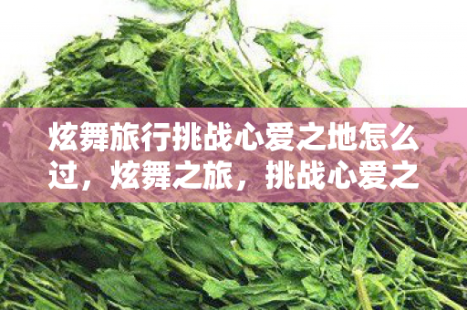 炫舞旅行挑战心爱之地怎么过，炫舞之旅，挑战心爱之地