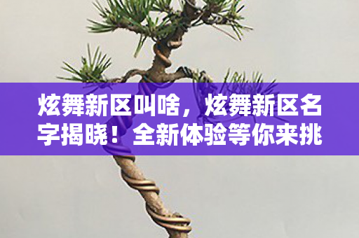 炫舞新区叫啥，炫舞新区名字揭晓！全新体验等你来挑战！