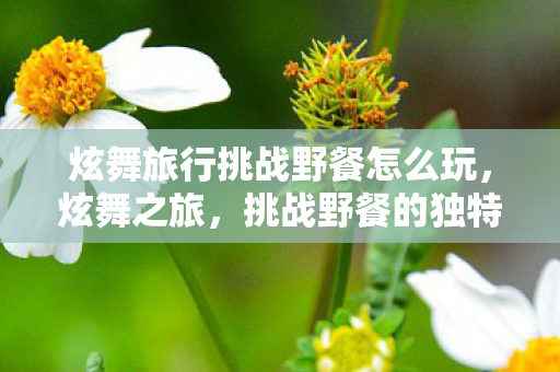 炫舞旅行挑战野餐怎么玩，炫舞之旅，挑战野餐的独特魅力