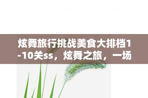 炫舞旅行挑战美食大排档1-10关ss，炫舞之旅，一场别开生面的挑战之旅