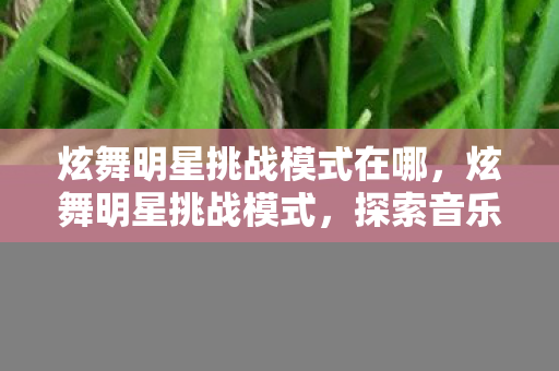 炫舞明星挑战模式在哪,炫舞明星挑战模式,探索音乐与舞蹈的无限魅力 炫舞明星挑战模式在哪,炫舞明星挑战模式,探索音乐与舞蹈的无限魅力