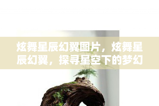 炫舞星辰幻翼图片，炫舞星辰幻翼，探寻星空下的梦幻舞步与神秘力量