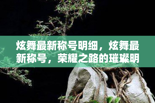 炫舞最新称号明细,炫舞最新称号,荣耀之路的璀璨明珠 炫舞最新称号明细,炫舞最新称号,荣耀之路的璀璨明珠