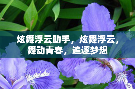 炫舞浮云助手，炫舞浮云，舞动青春，追逐梦想